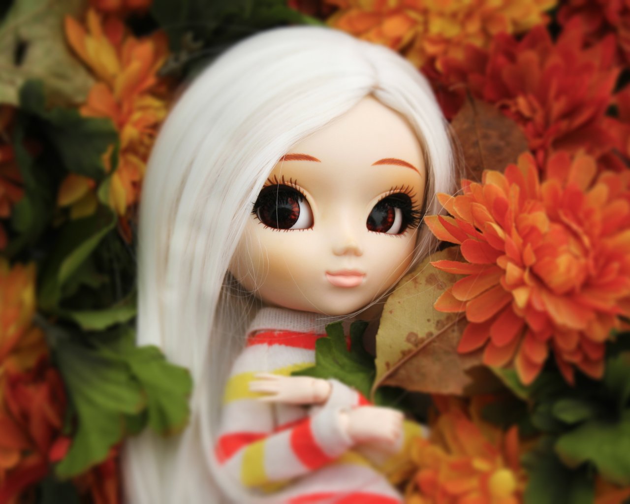 Обои цветы, кукла, большие глаза, flowers, doll, big eyes разрешение 3456x2304 Загрузить