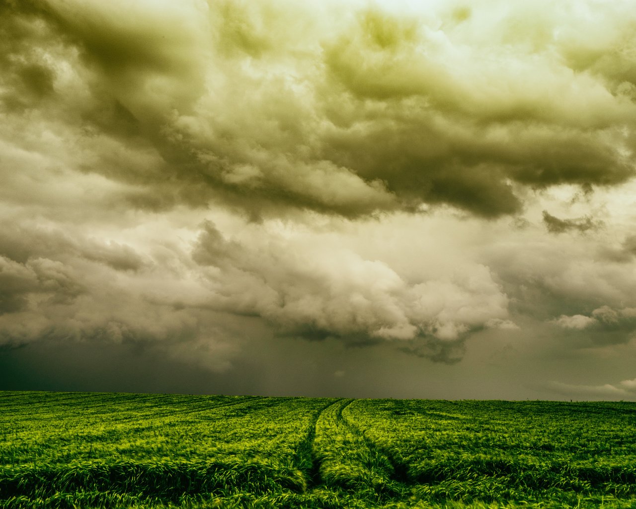 Обои небо, природа, поле, the sky, nature, field разрешение 2048x1365 Загрузить