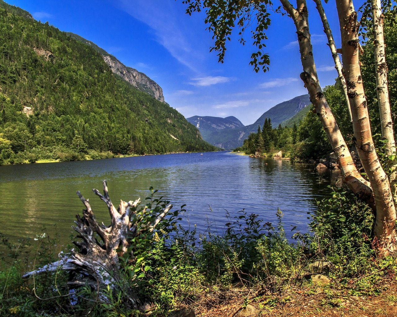 Обои трава, hautes-gorges-de-la-riviere-malbaie national, деревья, река, горы, камни, берег, лес, канада, grass, trees, river, mountains, stones, shore, forest, canada разрешение 2880x1933 Загрузить