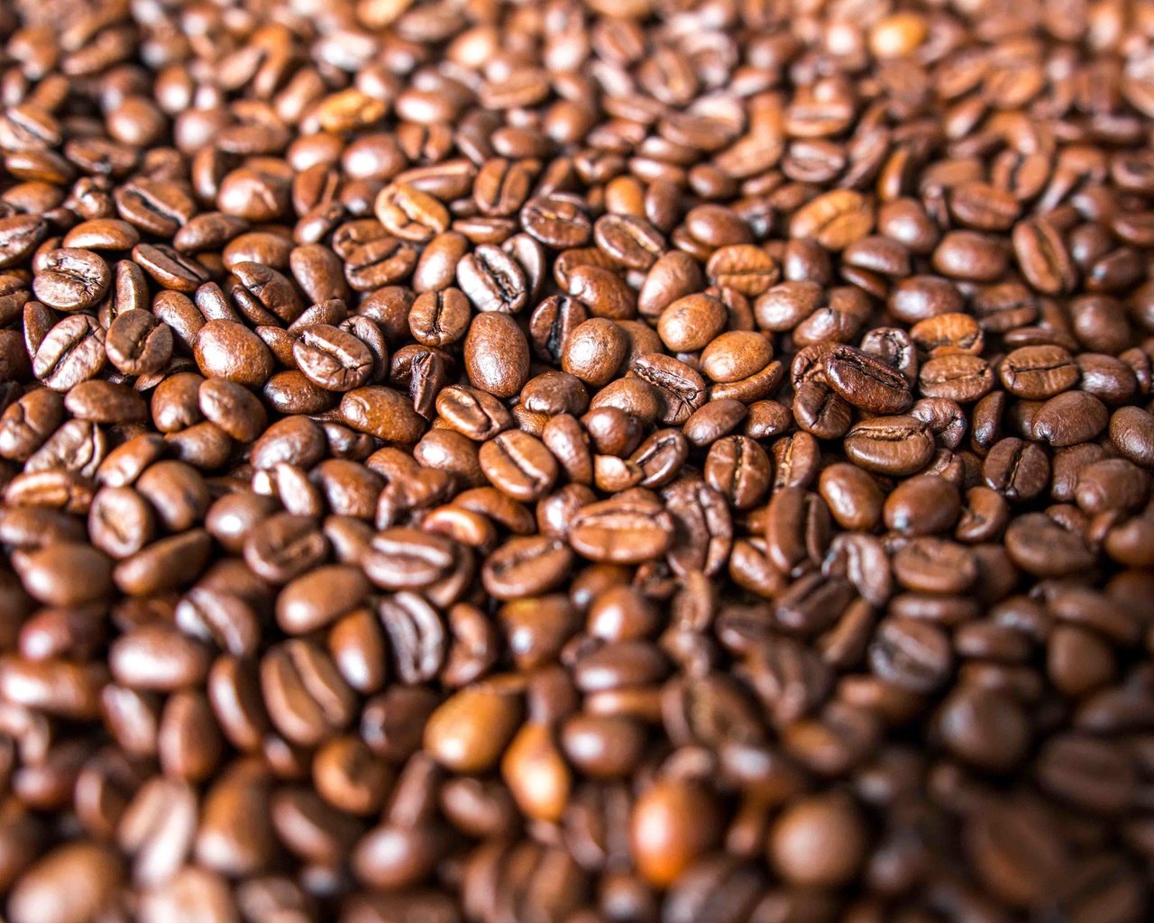 Обои зерна, кофе, много, кофейные зерна, grain, coffee, a lot, coffee beans разрешение 5472x3648 Загрузить