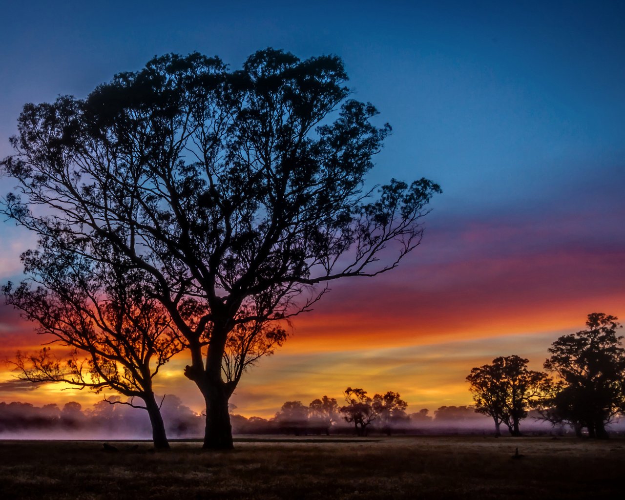 Обои облака, деревья, вечер, закат, пейзаж, clouds, trees, the evening, sunset, landscape разрешение 2048x1306 Загрузить