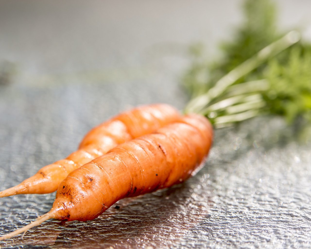 Обои макро, овощи, морковь, macro, vegetables, carrots разрешение 2048x1365 Загрузить