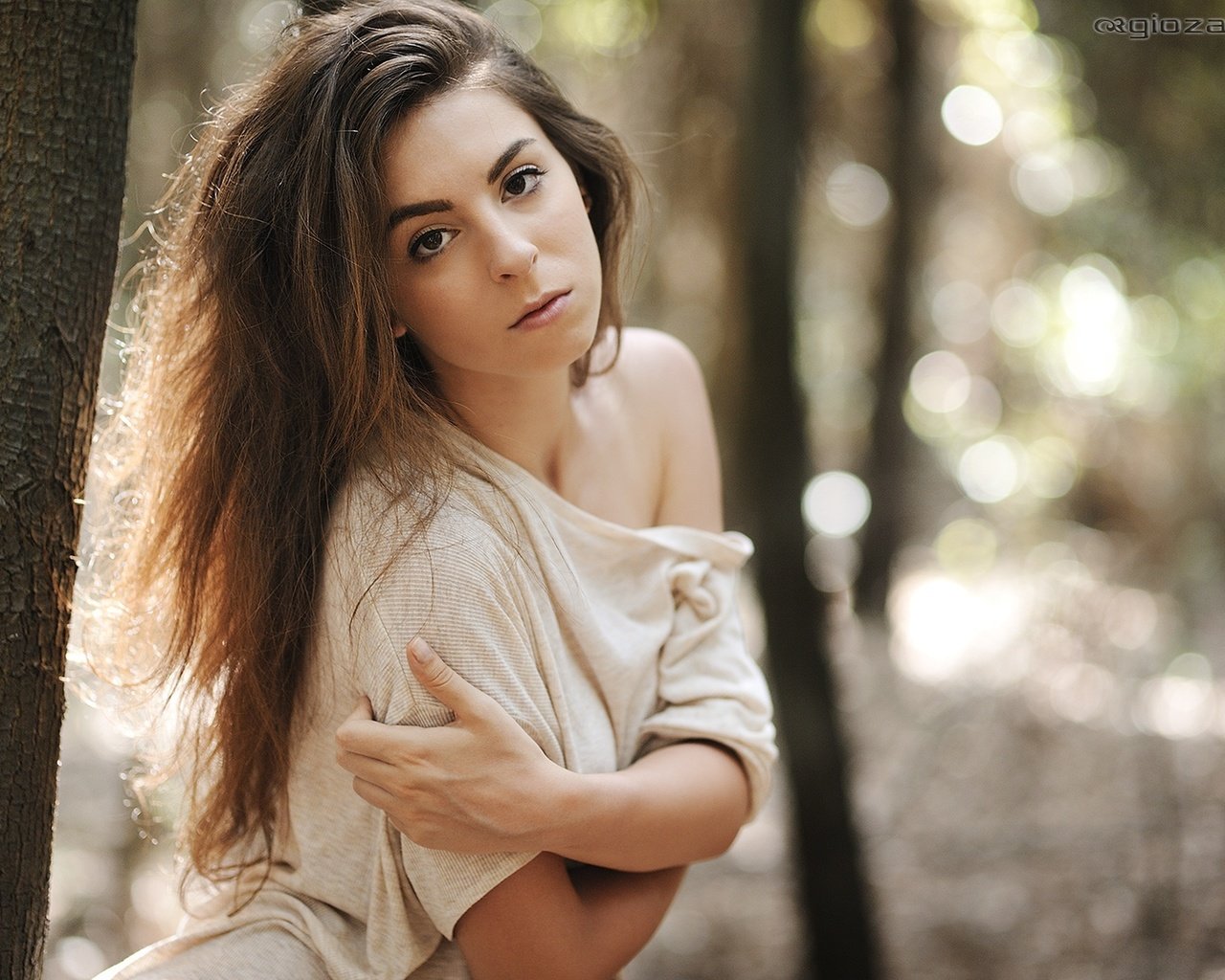 Обои лес, девушка, взгляд, фотограф, джованни zacche, forest, girl, look, photographer, giovanni zacche разрешение 2024x1347 Загрузить