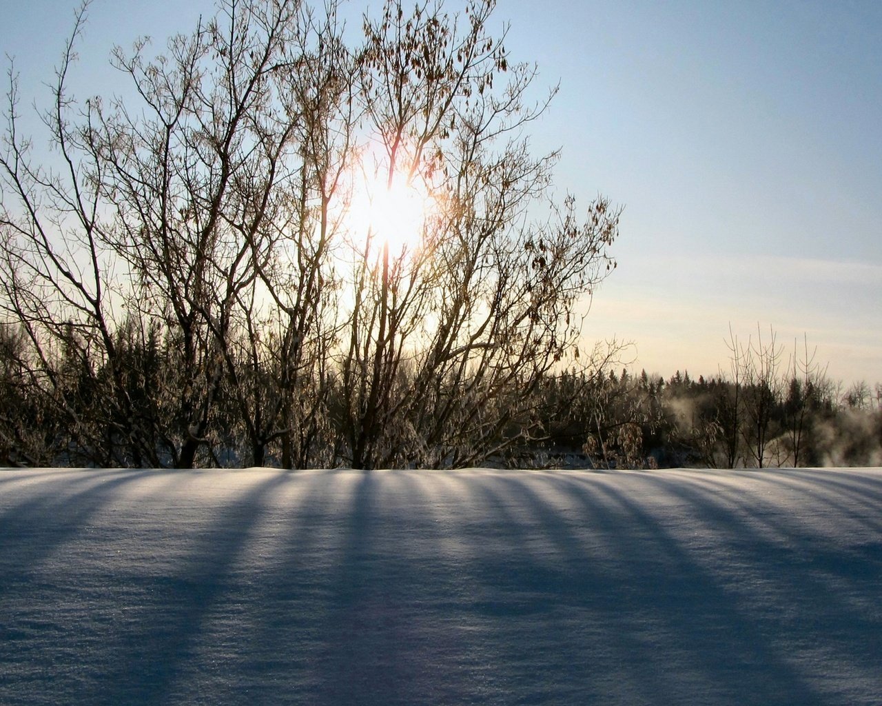 Обои солнце, снег, природа, зима, утро, кусты, the sun, snow, nature, winter, morning, the bushes разрешение 1920x1080 Загрузить