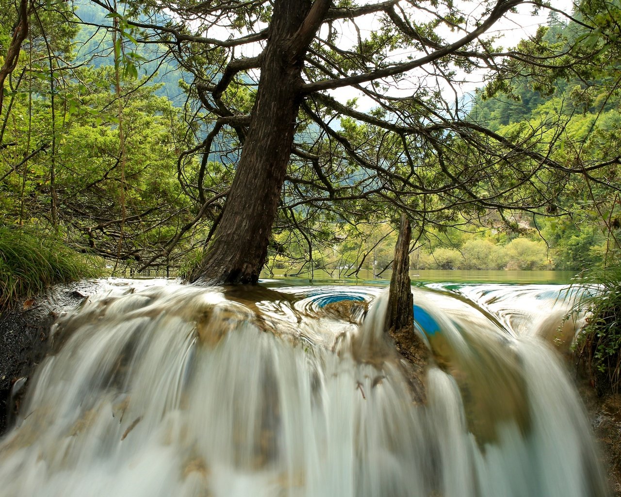 Обои деревья, река, лес, водопад, китай, jiuzhaigou national park, trees, river, forest, waterfall, china разрешение 2880x1920 Загрузить
