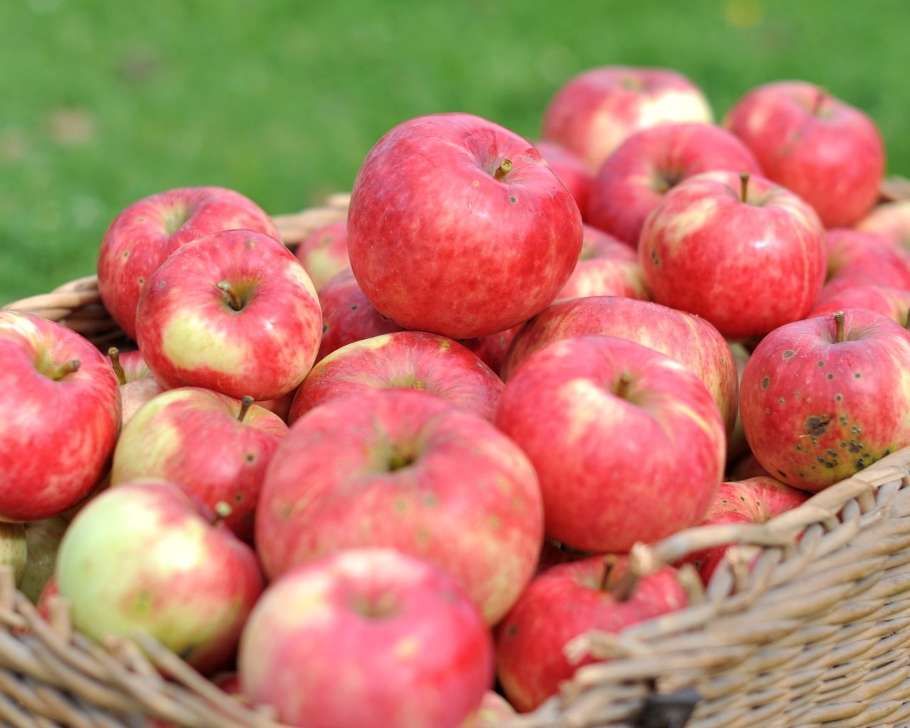 Обои макро, фрукты, яблоки, корзина, урожай, macro, fruit, apples, basket, harvest разрешение 2400x1594 Загрузить