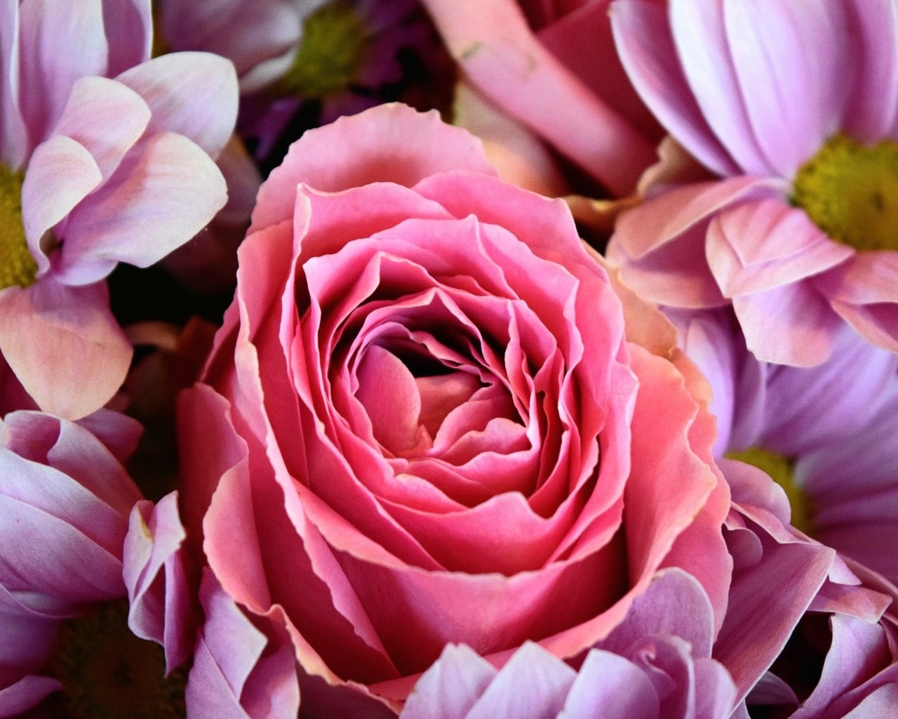Обои цветы, розы, букет, герберы, розовые красивые, flowers, roses, bouquet, gerbera, pink beautiful разрешение 1920x1200 Загрузить