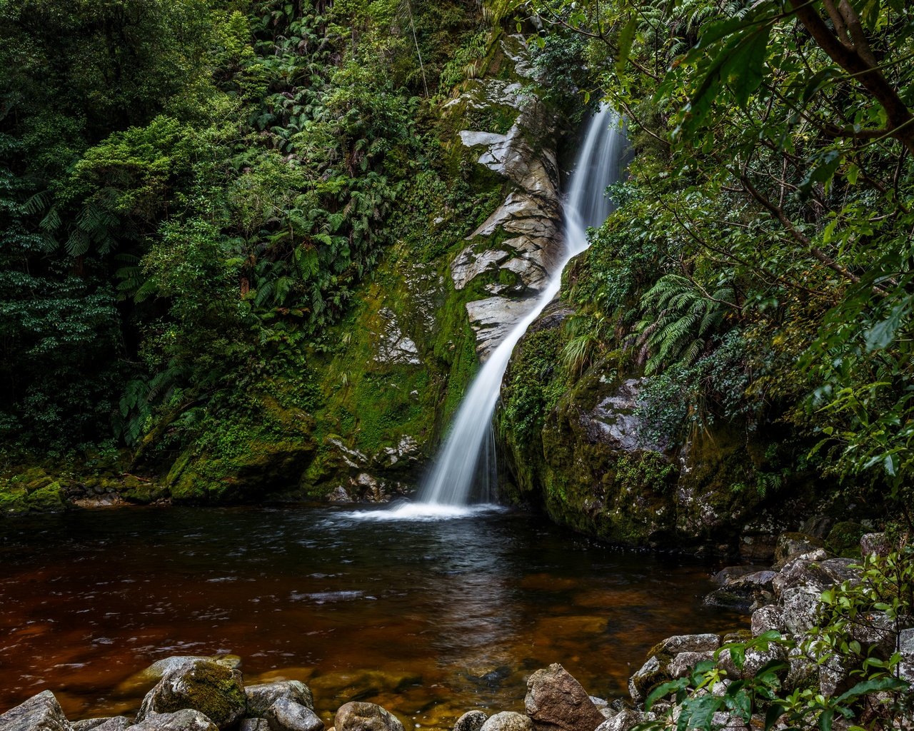 Обои камни, лес, ручей, кусты, водопад, мох, новая зеландия, hokitika, stones, forest, stream, the bushes, waterfall, moss, new zealand разрешение 2880x2046 Загрузить