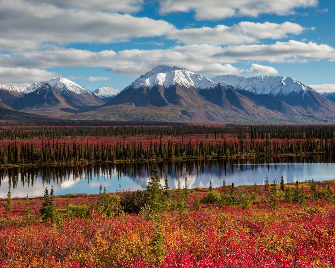 Обои небо, облака, деревья, горы, лес, осень, сша, аляска, the sky, clouds, trees, mountains, forest, autumn, usa, alaska разрешение 2048x1365 Загрузить