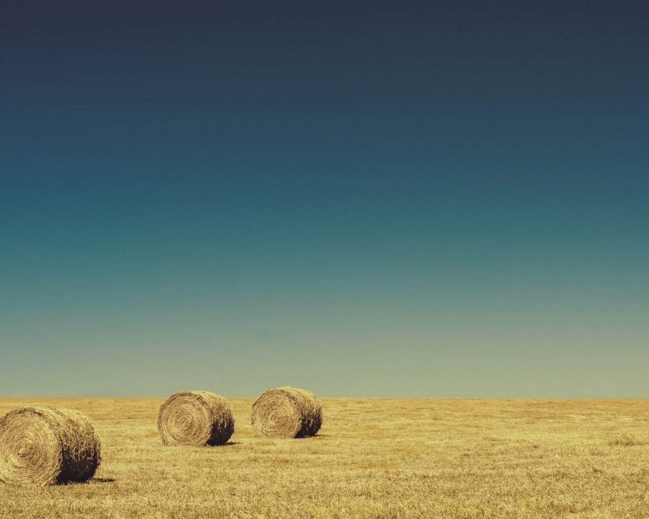 Обои небо, поле, горизонт, сено, тюки, рулоны, the sky, field, horizon, hay, bales, rolls разрешение 1920x1200 Загрузить