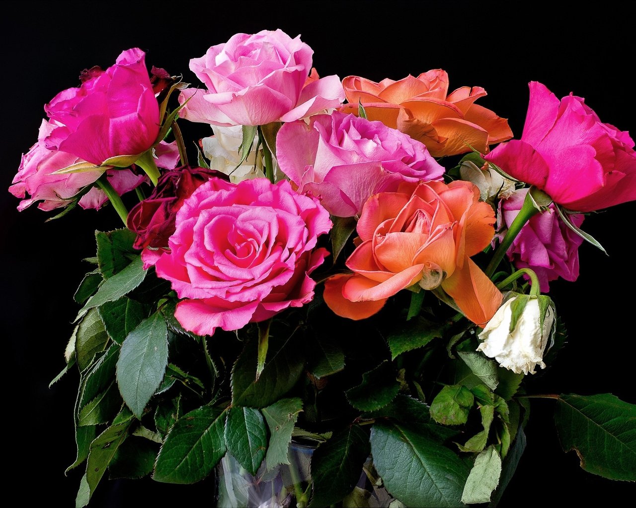Обои розы, букет, розовые, красивые, роз, roses, bouquet, pink, beautiful разрешение 2041x1359 Загрузить