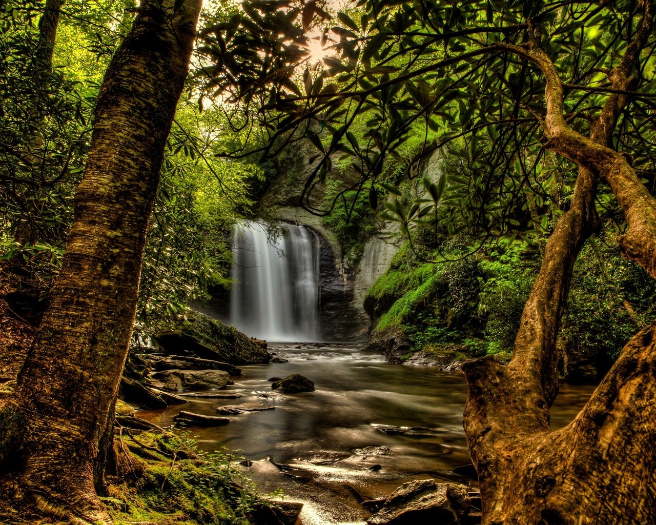 Обои деревья, сша, солнце, мох, камни, pisgah national forest, лес, ручей, ветки, водопад, обработка, trees, usa, the sun, moss, stones, forest, stream, branches, waterfall, treatment разрешение 2880x1920 Загрузить