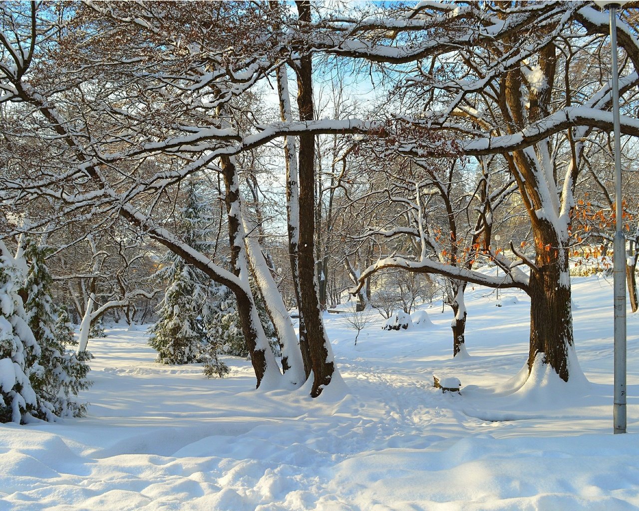 Обои деревья, снег, зима, лучи, парк, деревь, trees, snow, winter, rays, park разрешение 3004x1885 Загрузить