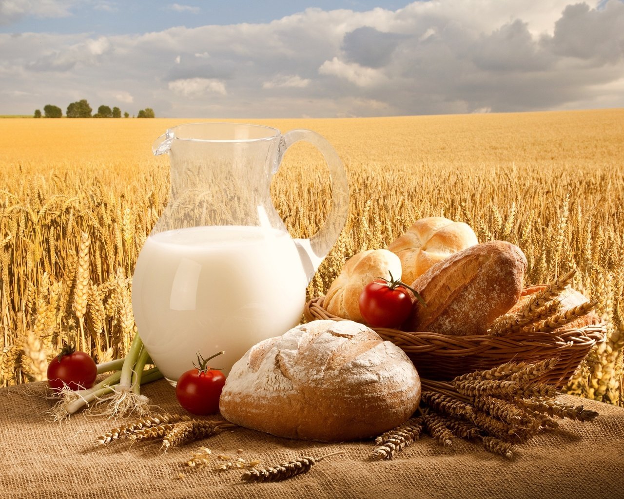 Обои поля, еда, пшеница, хлеб, молоко, кувшин, продукты, пища, field, food, wheat, bread, milk, pitcher, products разрешение 3000x2000 Загрузить