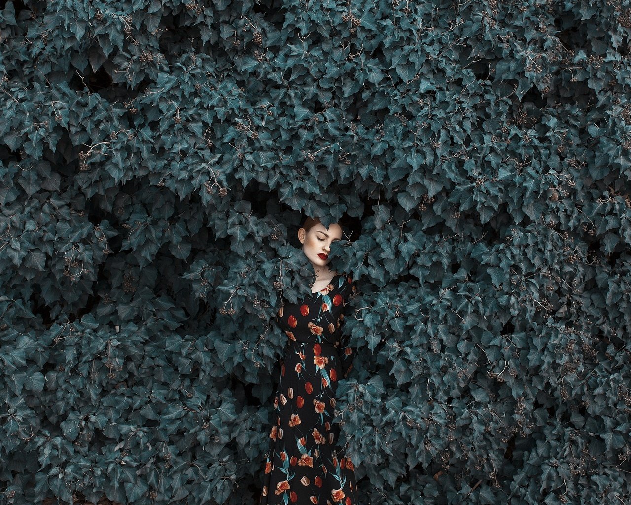 Обои девушка, платье, листва, лицо, girl, dress, foliage, face разрешение 2048x1365 Загрузить