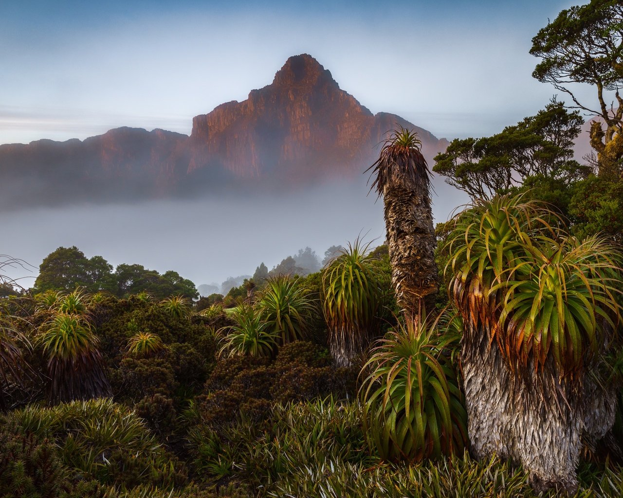 Обои австралия, тасмания, south west national park, australia, tasmania разрешение 2048x1365 Загрузить