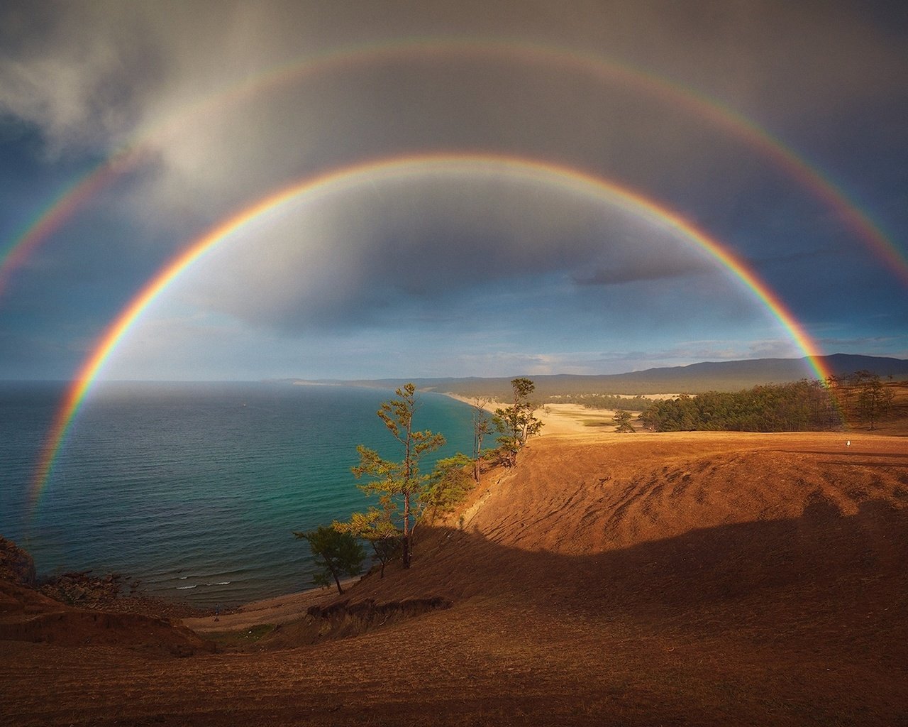 Обои деревья, природа, зелень, море, пляж, радуга, царство, trees, nature, greens, sea, beach, rainbow, kingdom разрешение 1920x1200 Загрузить