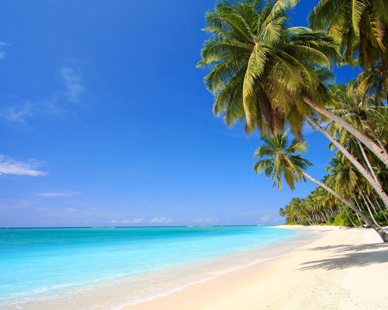 Обои море, песок, пляж, пальмы, отдых, тропики, sea, sand, beach, palm trees, stay, tropics разрешение 7512x4226 Загрузить