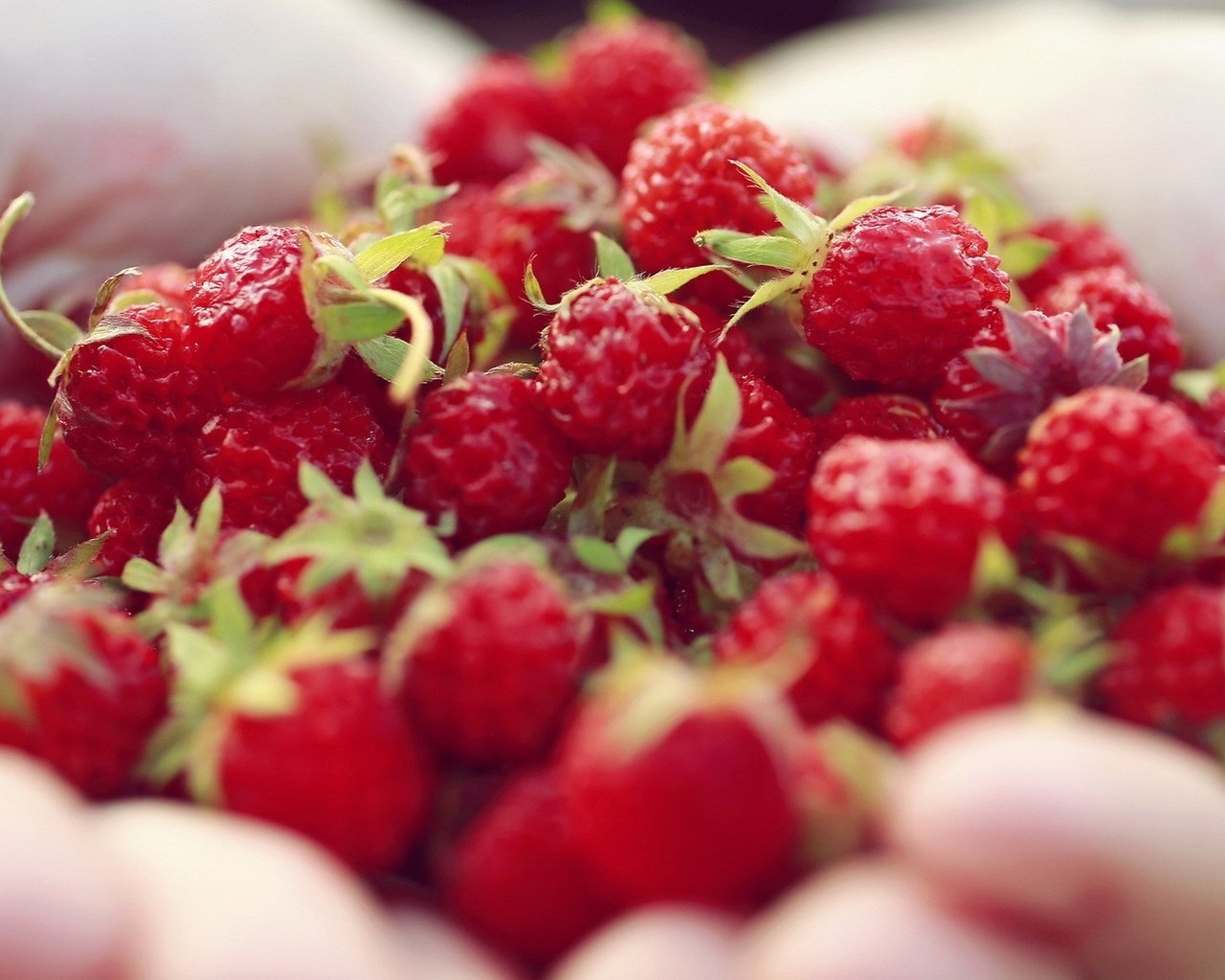 Обои ягода, клубника, руки, ладони, berry, strawberry, hands, palm разрешение 1920x1080 Загрузить
