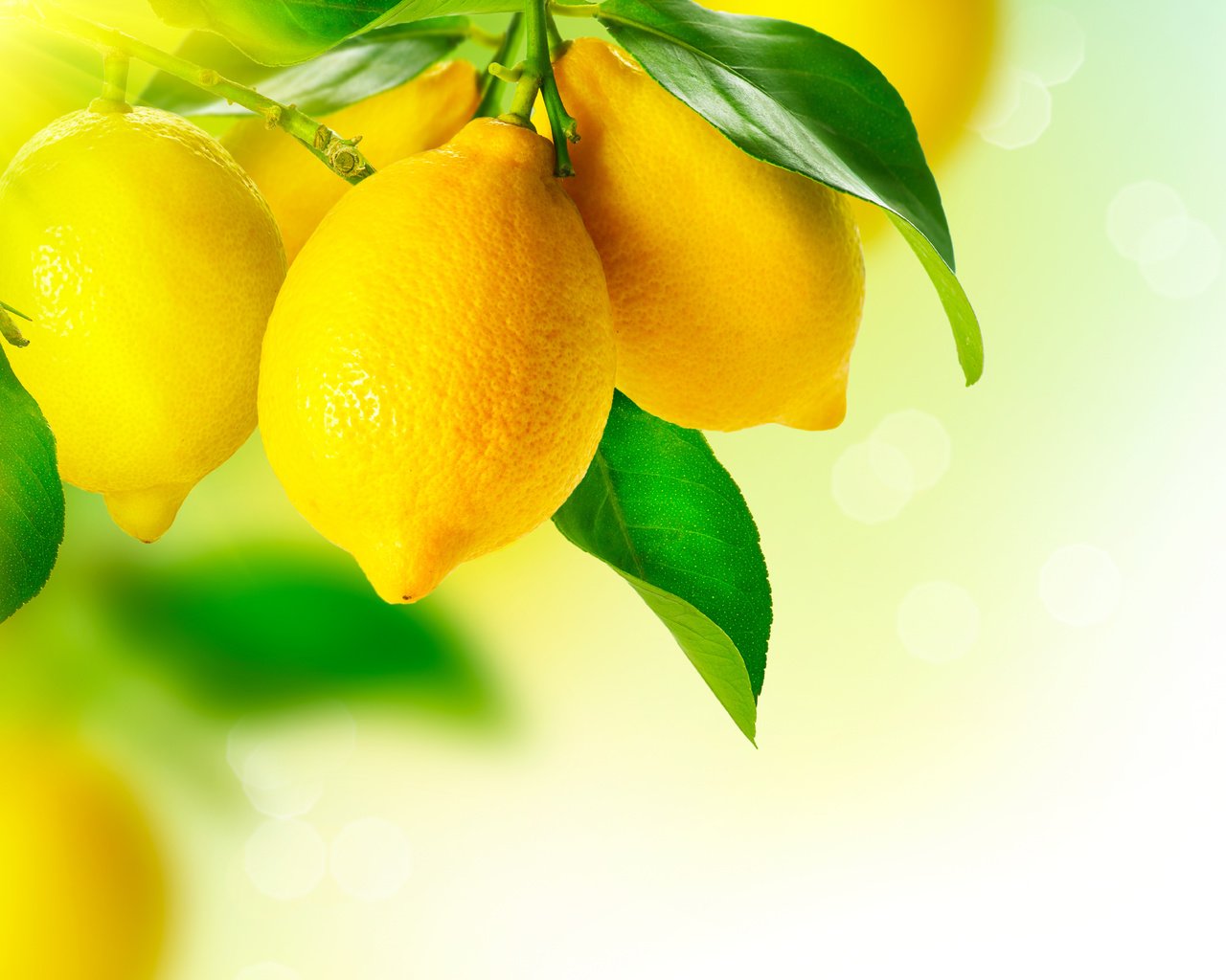 Обои еда, фрукты, лимон, цитрус, лимоны, food, fruit, lemon, citrus, lemons разрешение 6510x4909 Загрузить