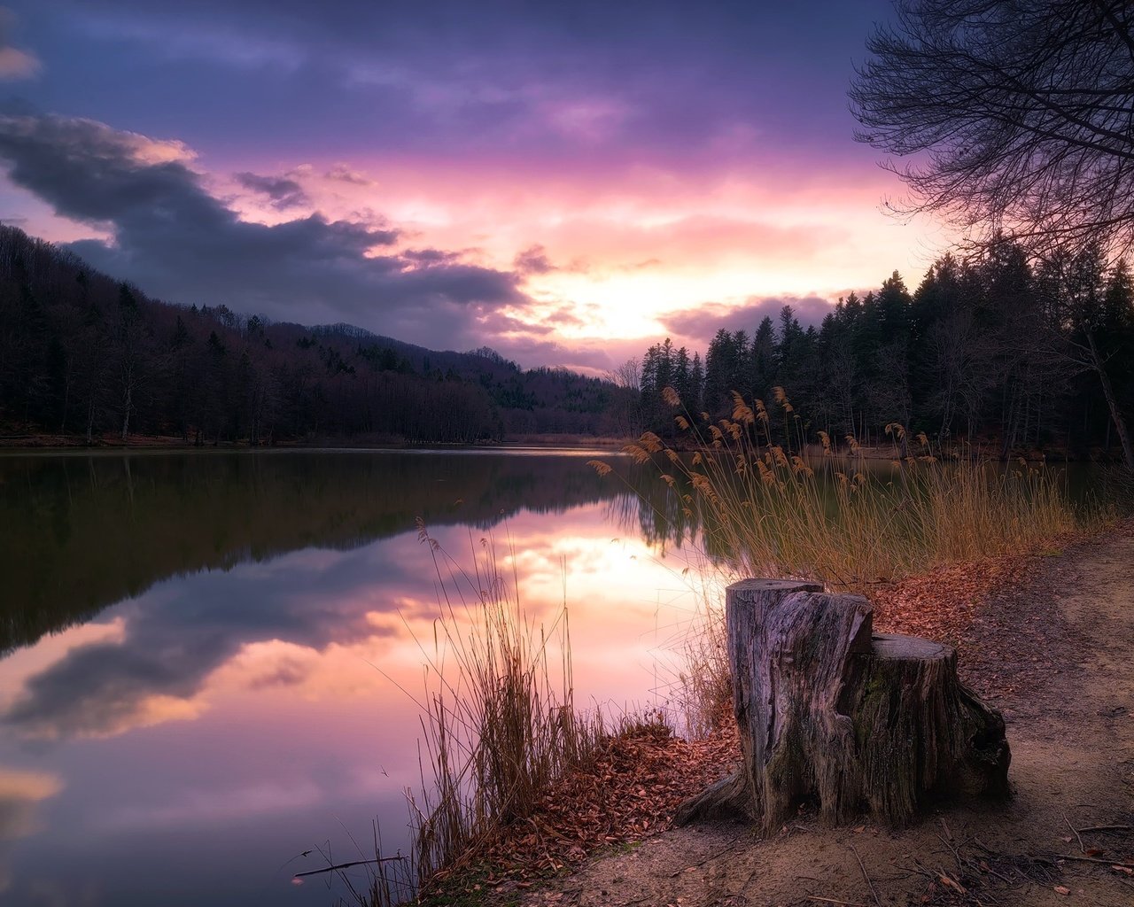 Обои деревья, озеро, закат, пень, trees, lake, sunset, stump разрешение 2000x1235 Загрузить