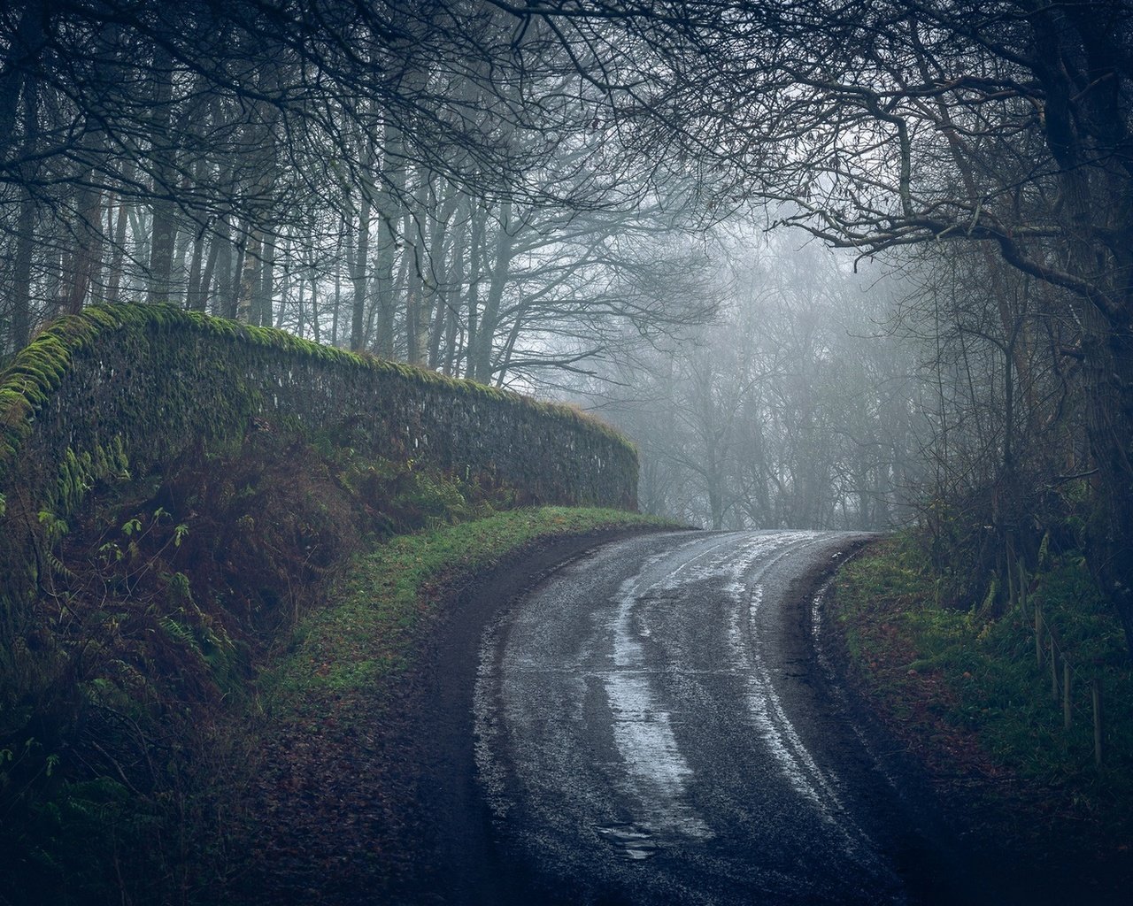 Обои дорога, деревья, лес, туман, road, trees, forest, fog разрешение 2107x1100 Загрузить