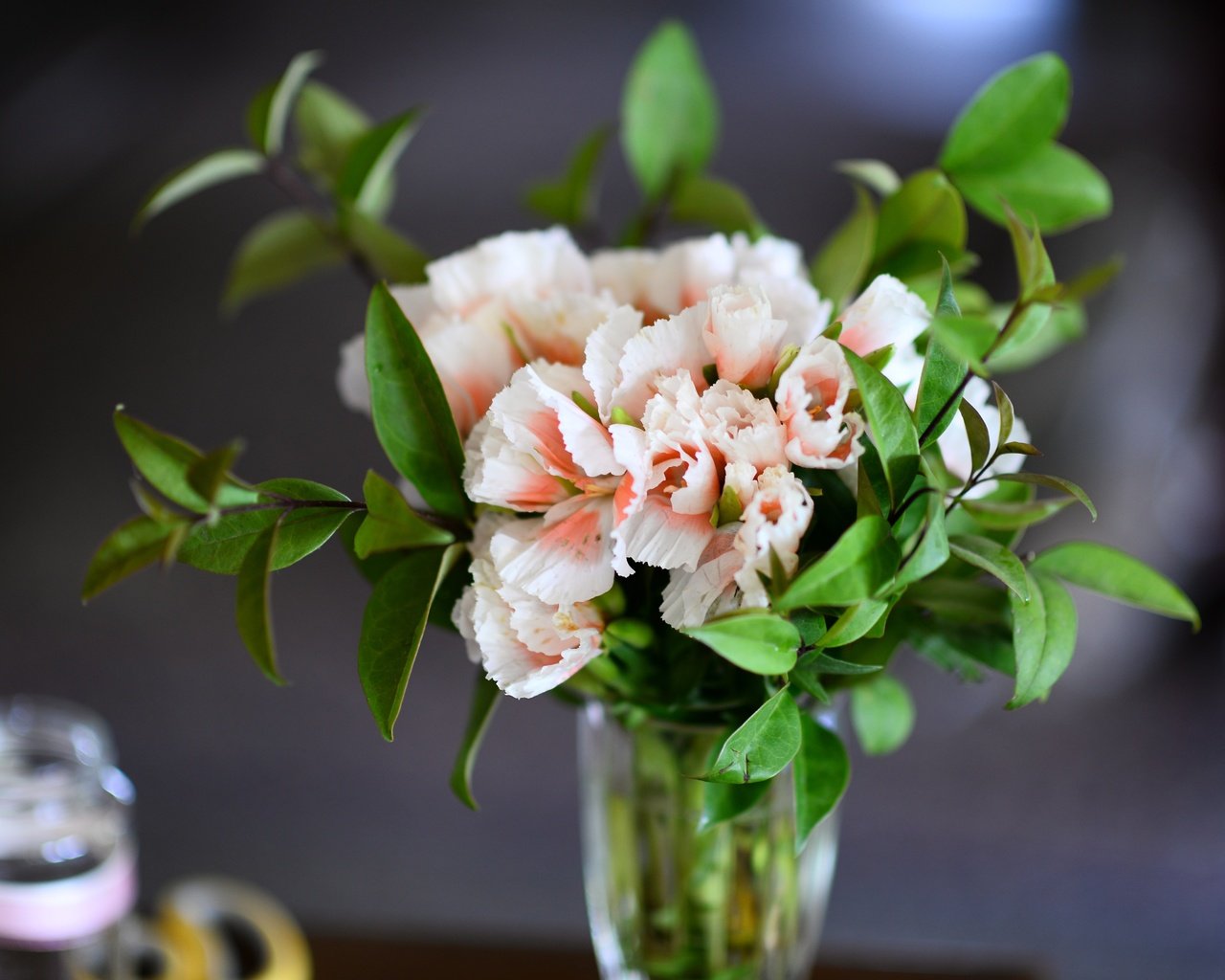 Обои цветы, листья, ветки, букет, ваза, пеларгония, flowers, leaves, branches, bouquet, vase, pelargonium разрешение 6016x4016 Загрузить