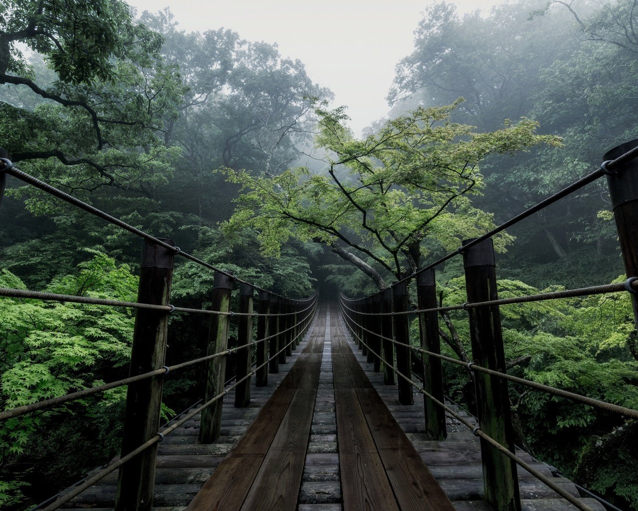 Обои деревья, природа, мост, япония, дымка, trees, nature, bridge, japan, haze разрешение 2500x1667 Загрузить