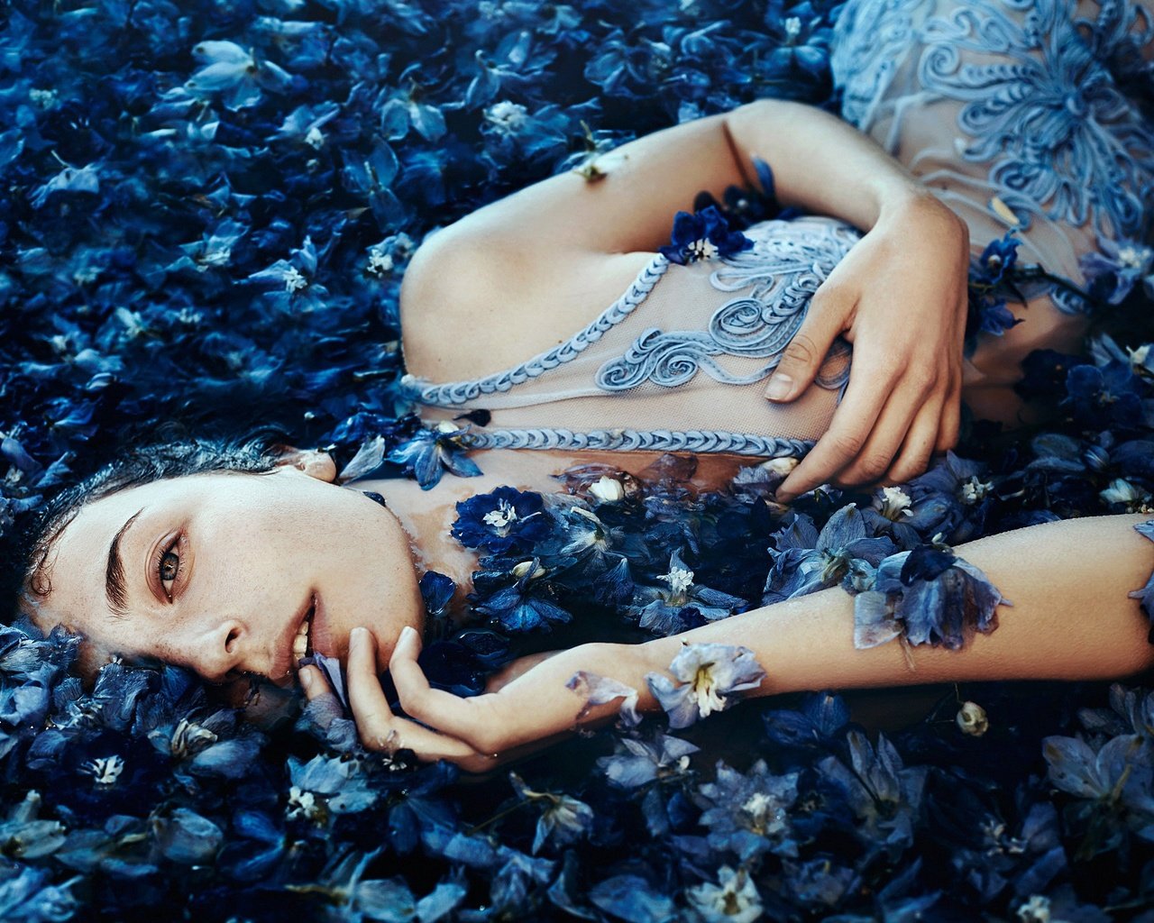 Обои цветы, девушка, настроение, лепестки, взгляд, bella kotak, a sea of blue flowers, ella grace denton, flowers, girl, mood, petals, look разрешение 2048x1365 Загрузить