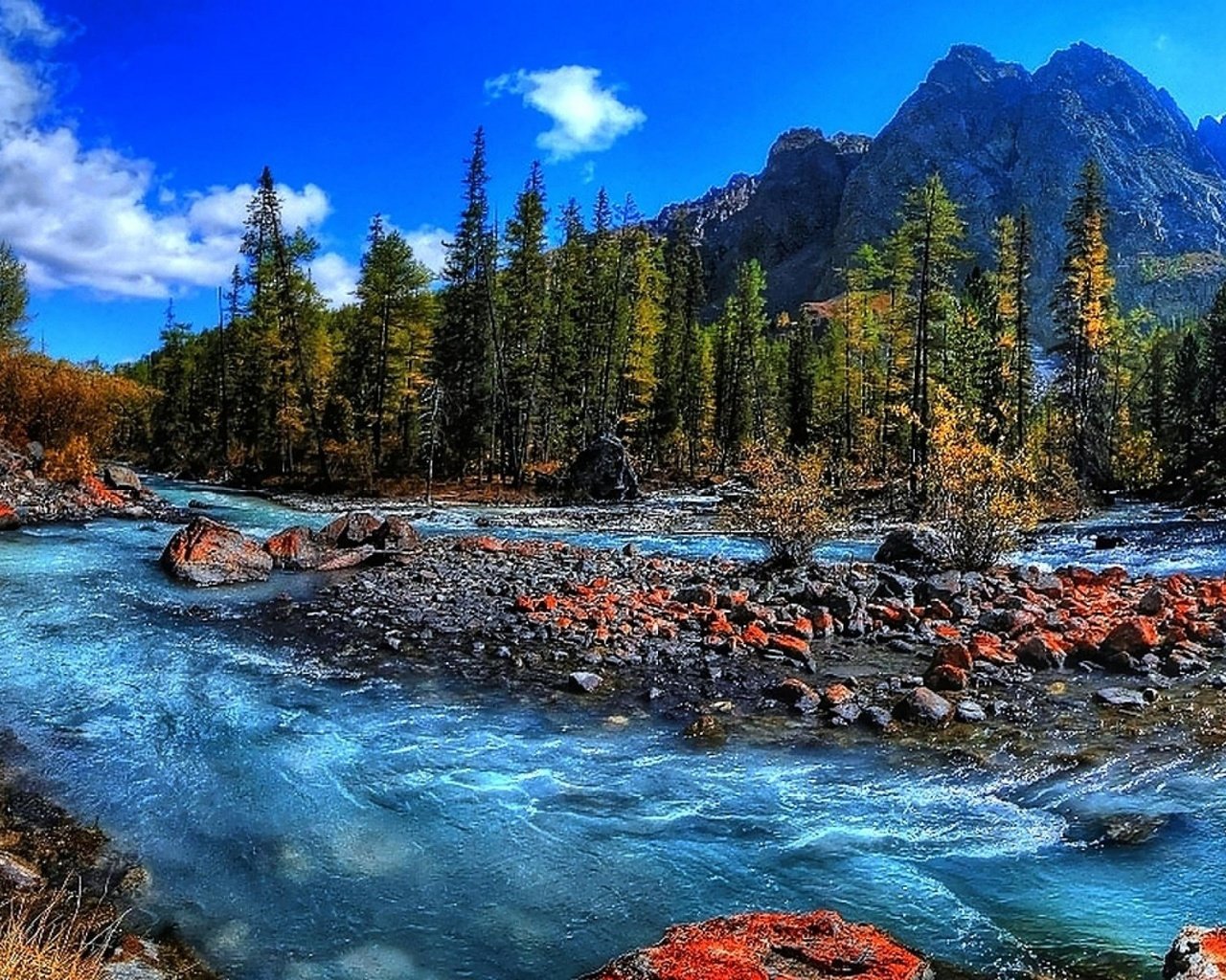 Обои деревья, stream mountain, fresh water, вода, rapids, река, горы, природа, камни, поток, бег, trees, water, river, mountains, nature, stones, stream, running разрешение 1920x1200 Загрузить