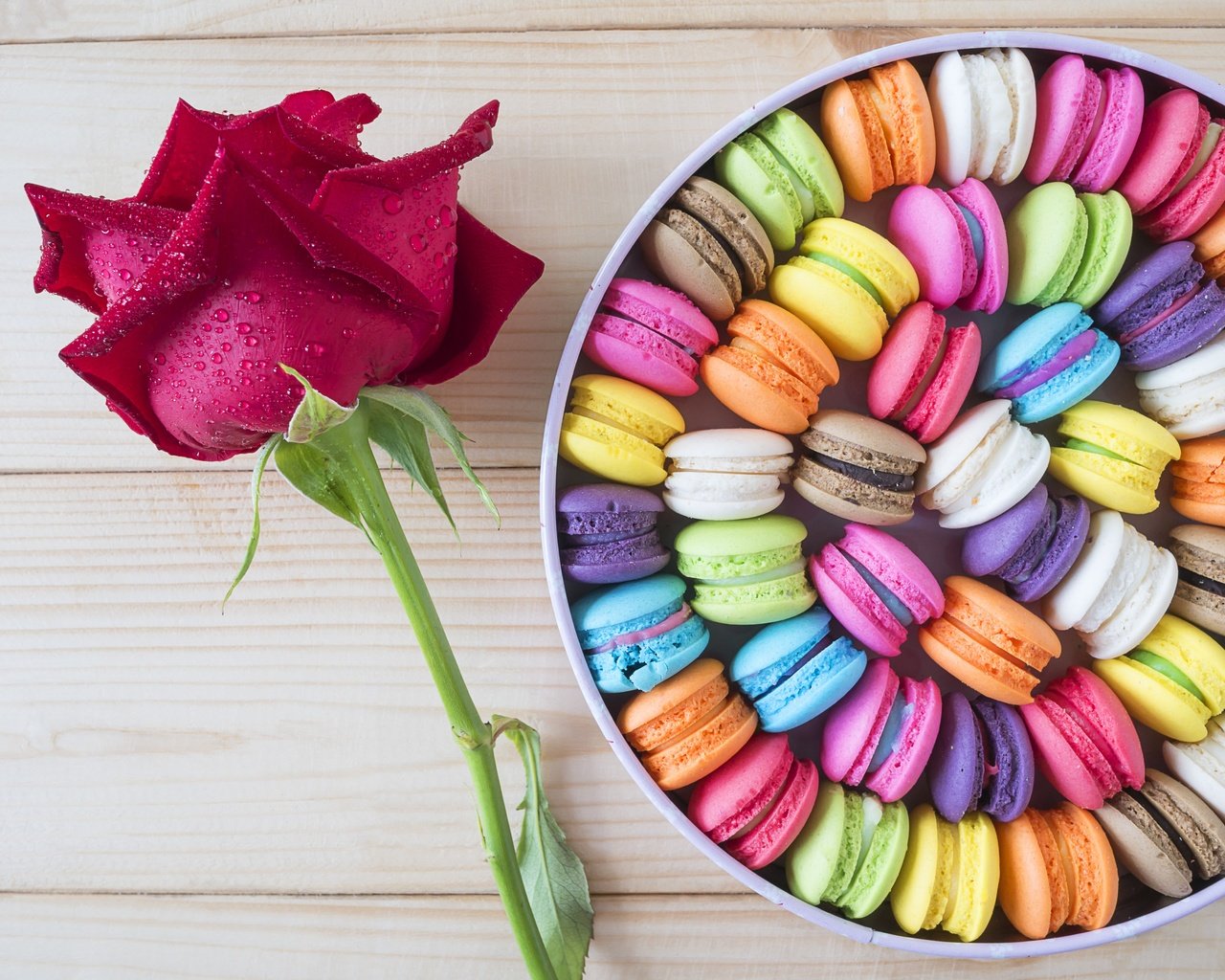 Обои цветок, роза, окрас, коробка, печенье, макарун, flower, rose, color, box, cookies, macaron разрешение 4592x3448 Загрузить