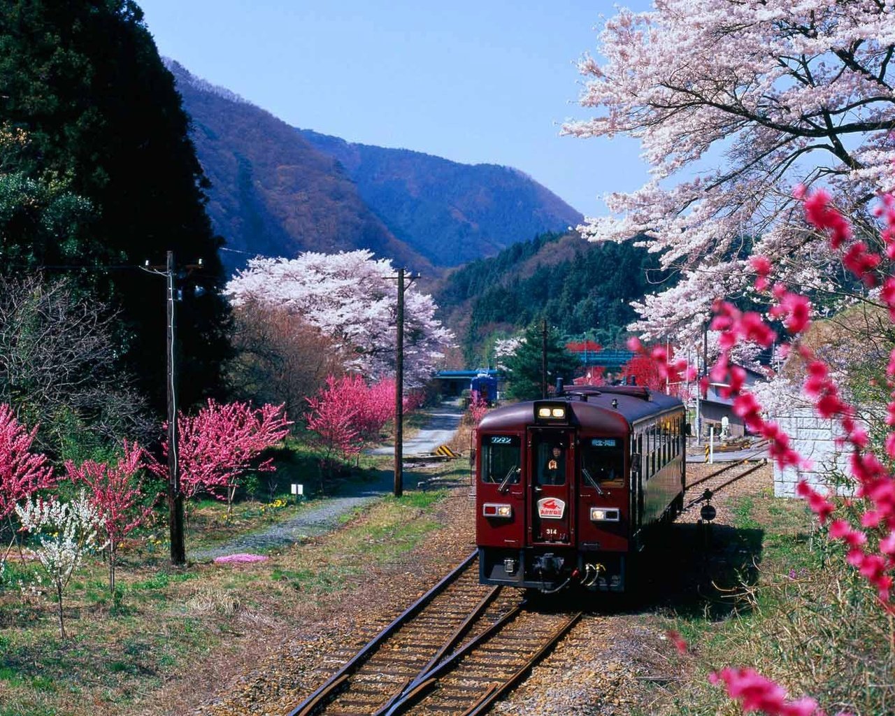 Обои горы, цветение, япония, весна, поезд, префектура гумма, mountains, flowering, japan, spring, train, gunma prefecture разрешение 1920x1080 Загрузить