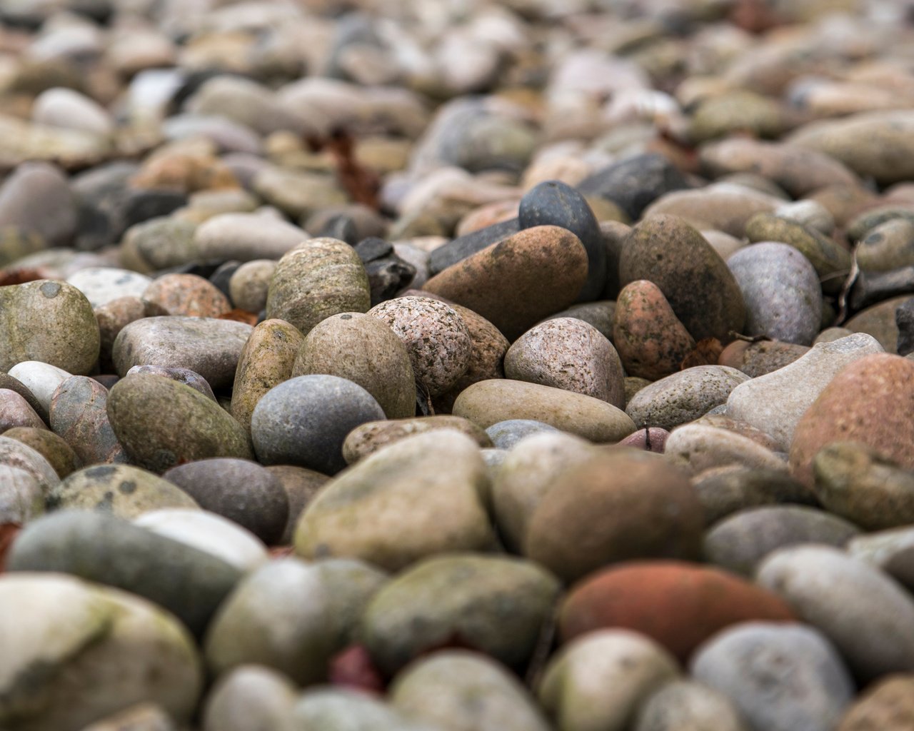Обои природа, камни, галька, текстура, пляж, камень, milada vigerova, nature, stones, pebbles, texture, beach, stone разрешение 4100x2733 Загрузить