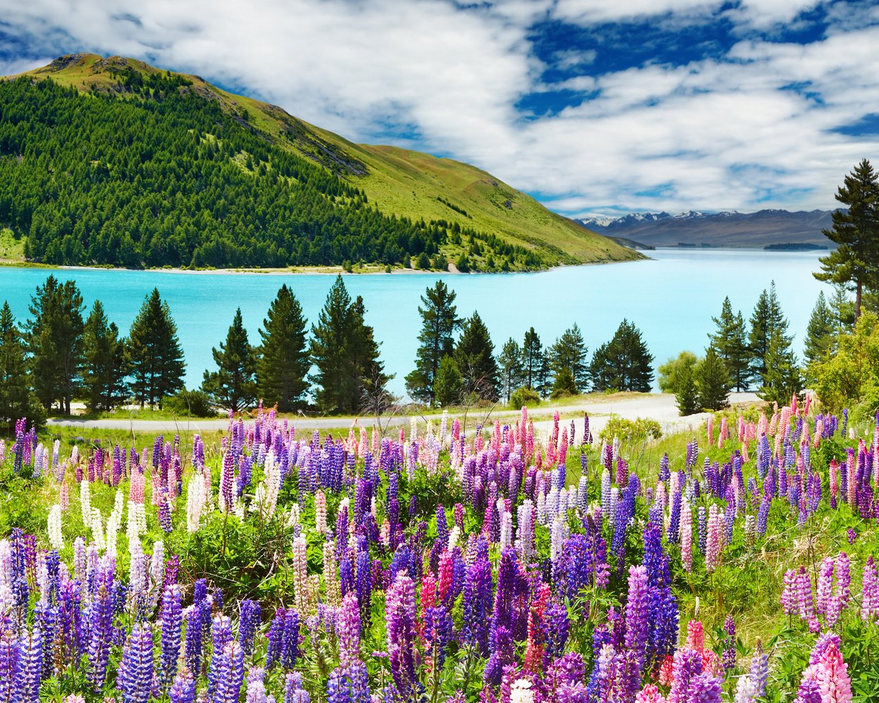 Обои небо, цветы, облака, река, горы, лес, люпины, the sky, flowers, clouds, river, mountains, forest, lupins разрешение 1920x1200 Загрузить