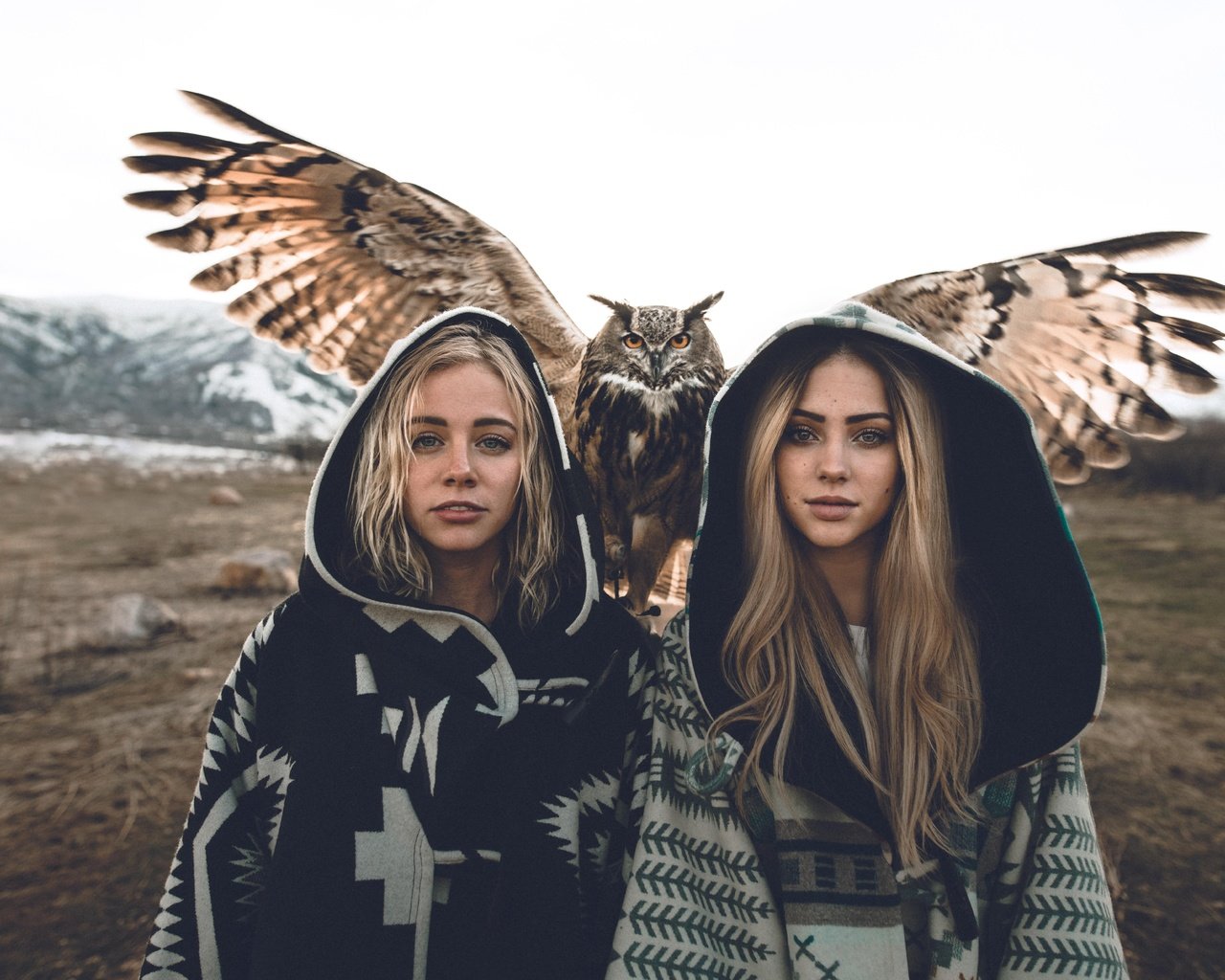 Обои сова, взгляд, девушки, птица, волосы, модели, блондинки, owl, look, girls, bird, hair, model, blonde разрешение 7952x5304 Загрузить