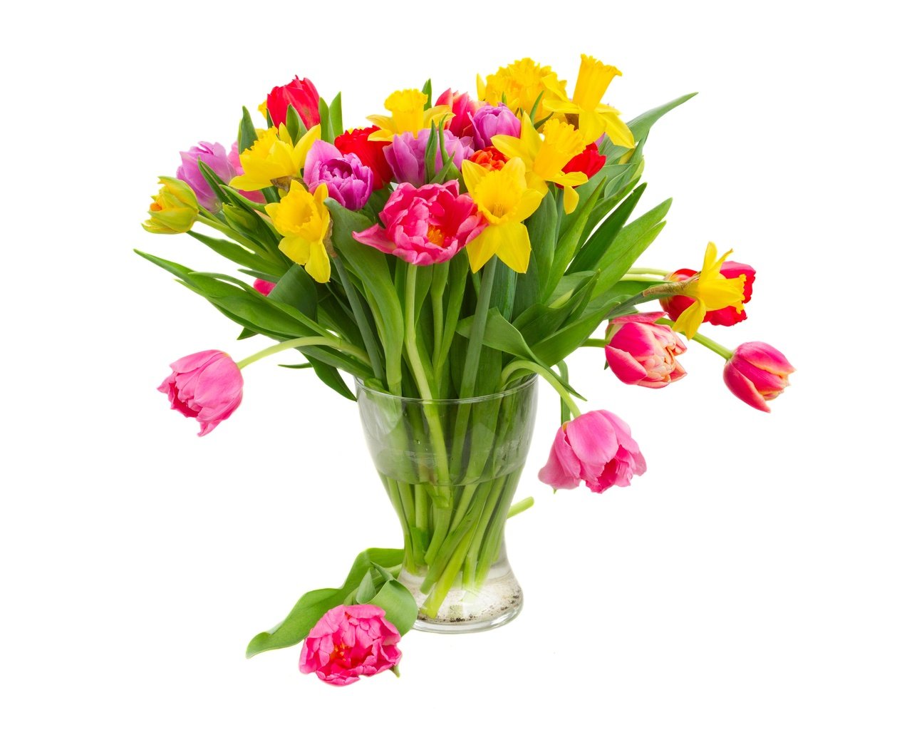 Обои цветы, тюльпаны, белый фон, ваза, нарциссы, flowers, tulips, white background, vase, daffodils разрешение 6400x4000 Загрузить