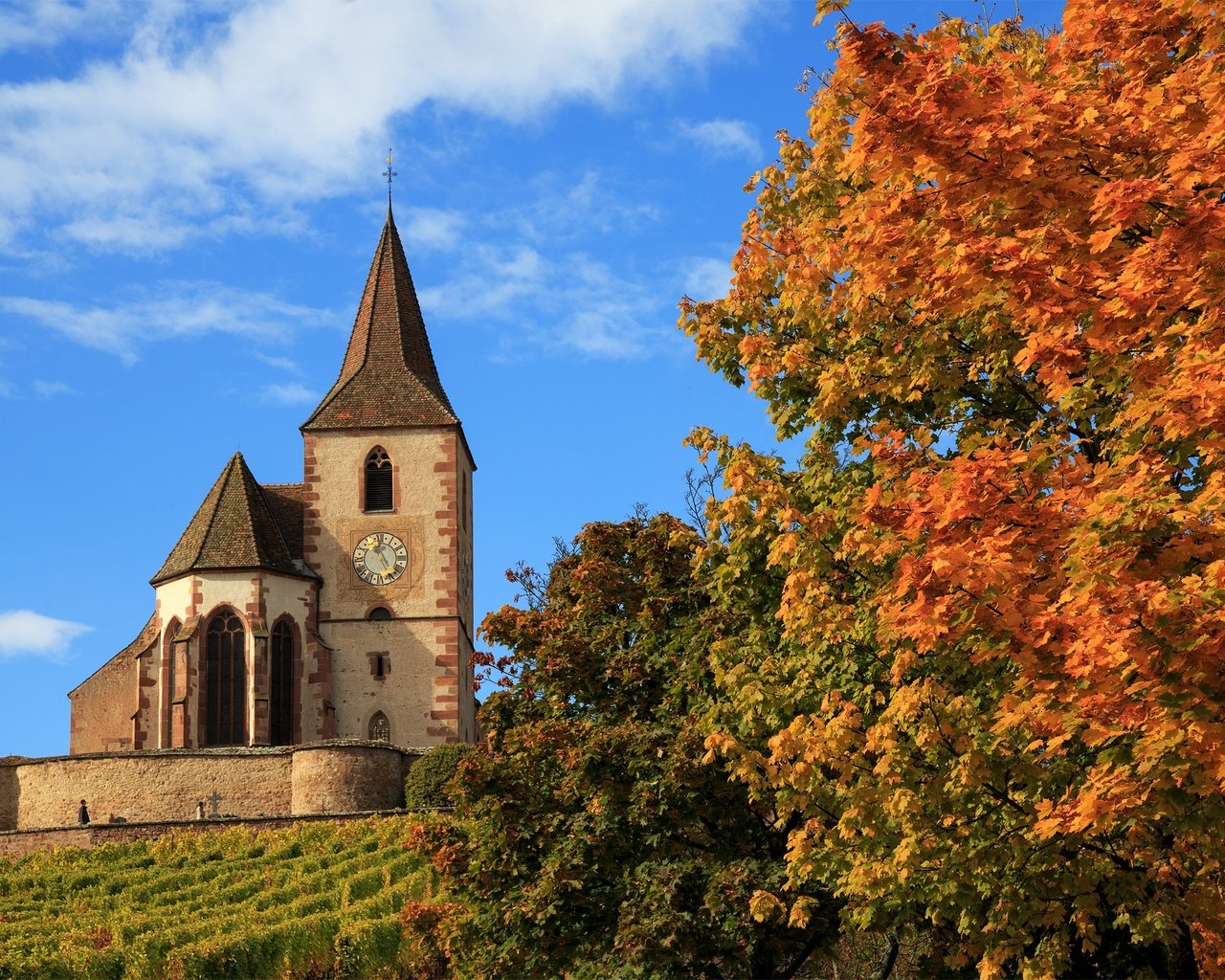 Обои деревья, осень, церковь, франция, hunawihr, church saint-jacques-le-majeur, церковь сен-жак-ле-мажёр, юнавир, trees, autumn, church, france, church of saint-jacques-le-mazher, the hunawihr разрешение 2500x1581 Загрузить