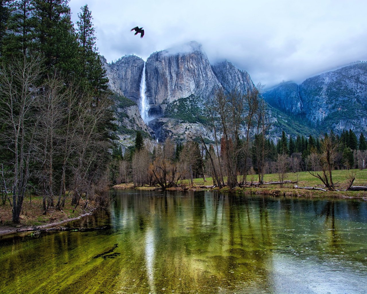 Обои деревья, йосемити, река, горы, скалы, лес, водопад, птица, сша, trees, yosemite, river, mountains, rocks, forest, waterfall, bird, usa разрешение 3000x2000 Загрузить