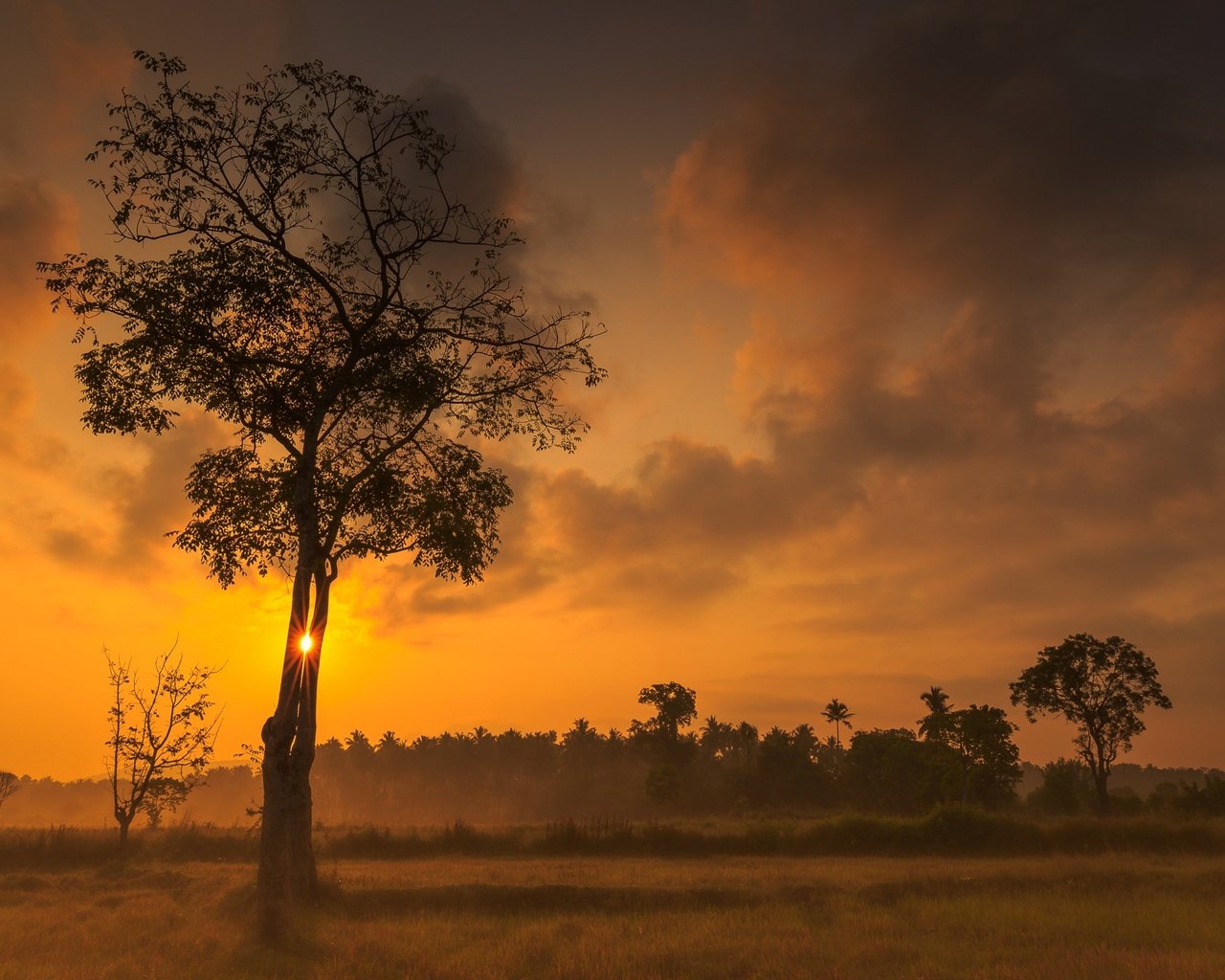 Обои небо, облака, деревья, закат, зарево, the sky, clouds, trees, sunset, glow разрешение 2048x1242 Загрузить