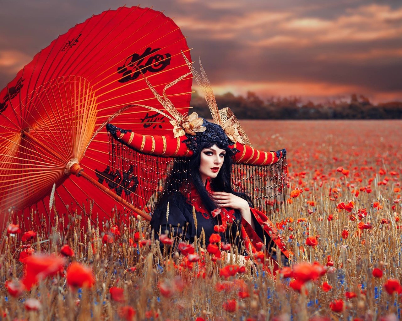 Обои девушка, поле, маки, зонт, наряд, макияж, girl, field, maki, umbrella, outfit, makeup разрешение 2048x1365 Загрузить