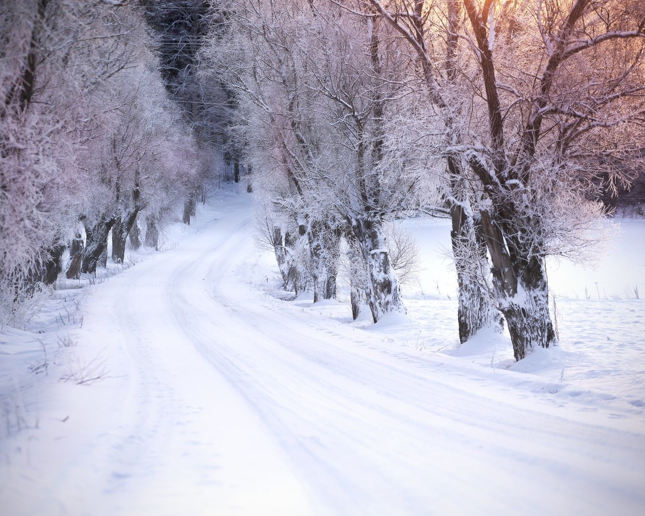 Обои дорога, деревья, снег, зима, road, trees, snow, winter разрешение 2048x1365 Загрузить