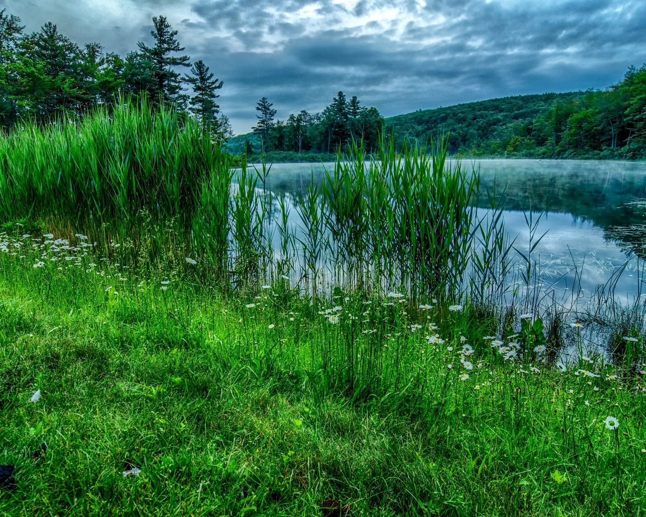 Обои небо, лето, цветы, трава, облака, деревья, река, природа, лес, the sky, summer, flowers, grass, clouds, trees, river, nature, forest разрешение 3021x2000 Загрузить