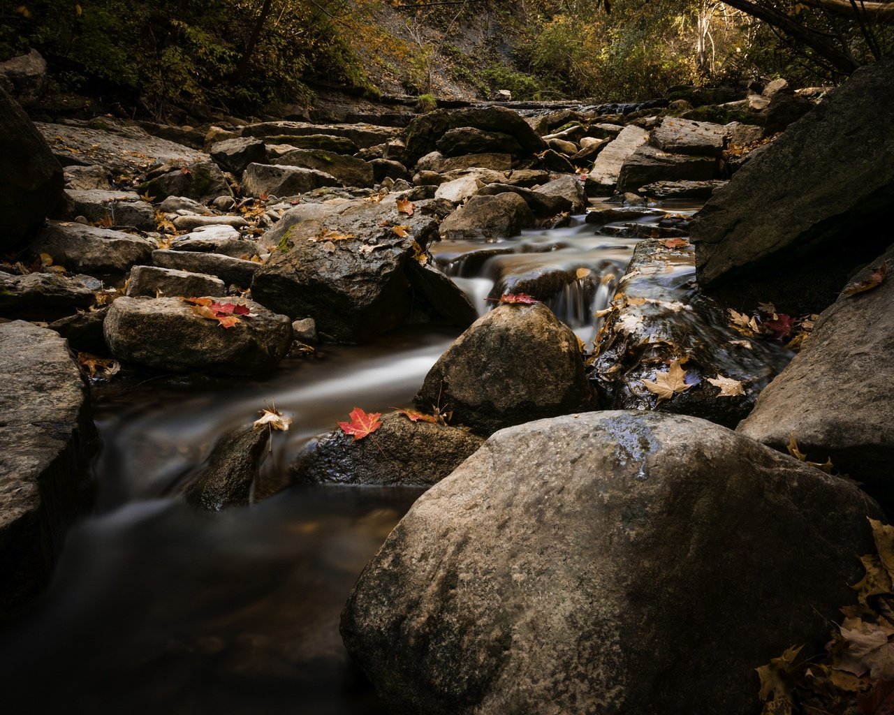 Обои вода, природа, камни, листья, ручей, осень, water, nature, stones, leaves, stream, autumn разрешение 2048x1367 Загрузить