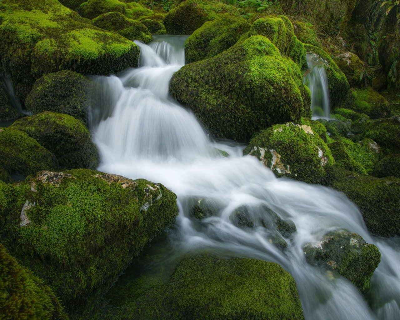 Обои вода, камни, поток, мох, water, stones, stream, moss разрешение 2048x1365 Загрузить