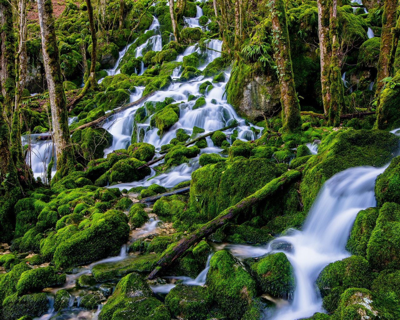 Обои деревья, вода, камни, лес, водопад, поток, мох, trees, water, stones, forest, waterfall, stream, moss разрешение 2048x1291 Загрузить