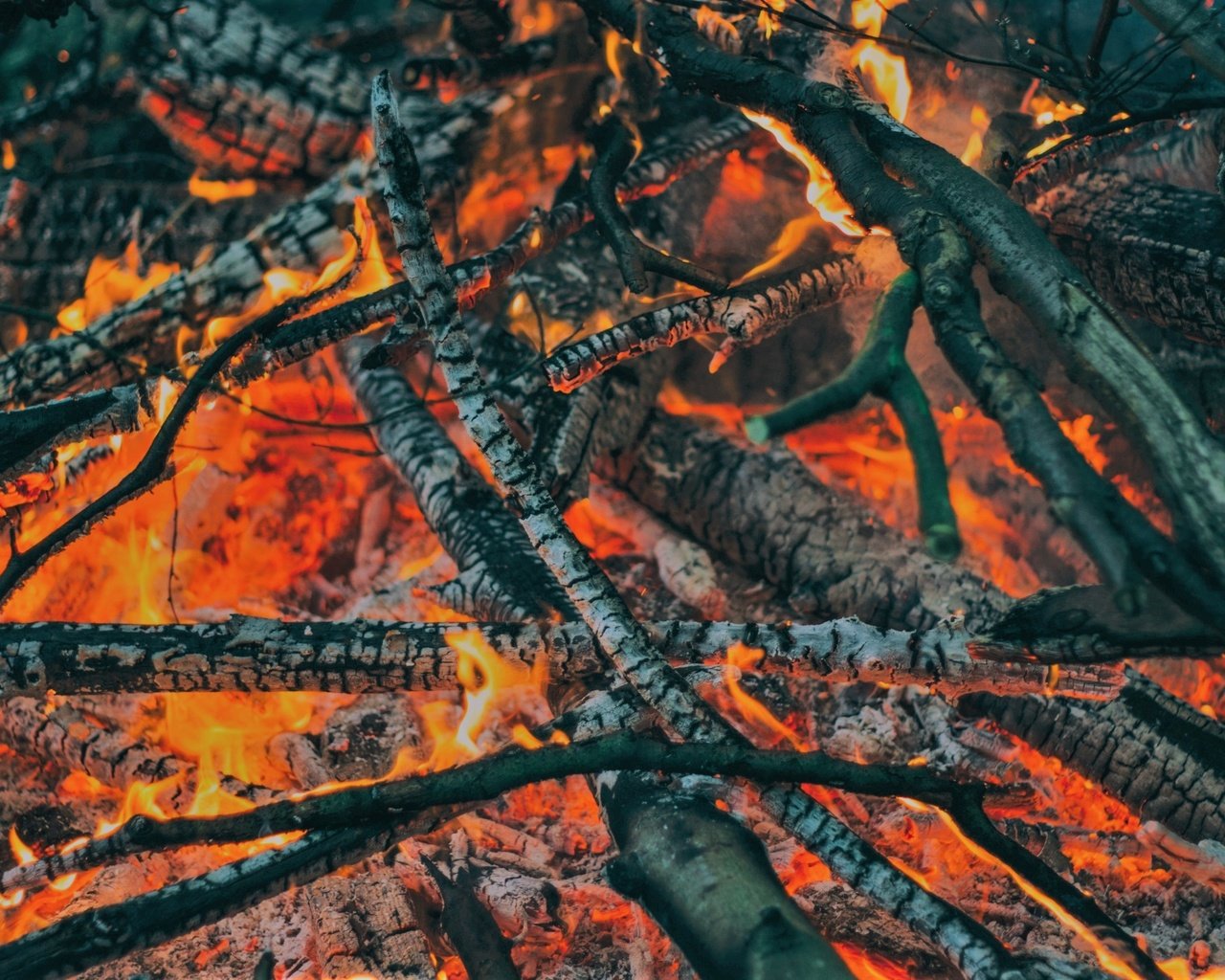 Обои пламя, огонь, угли, костёр, дрова, flame, fire, coal, the fire, wood разрешение 2560x1707 Загрузить