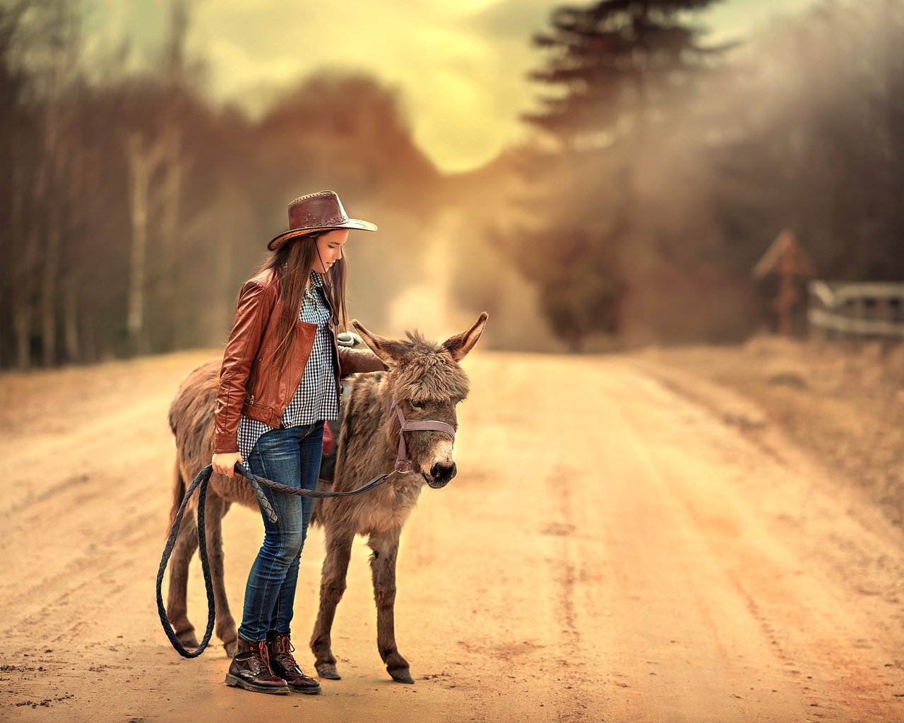 Обои дорога, девушка, джинсы, волосы, шляпа, кожанка, ослик, road, girl, jeans, hair, hat, kozhanka, donkey разрешение 2200x1469 Загрузить