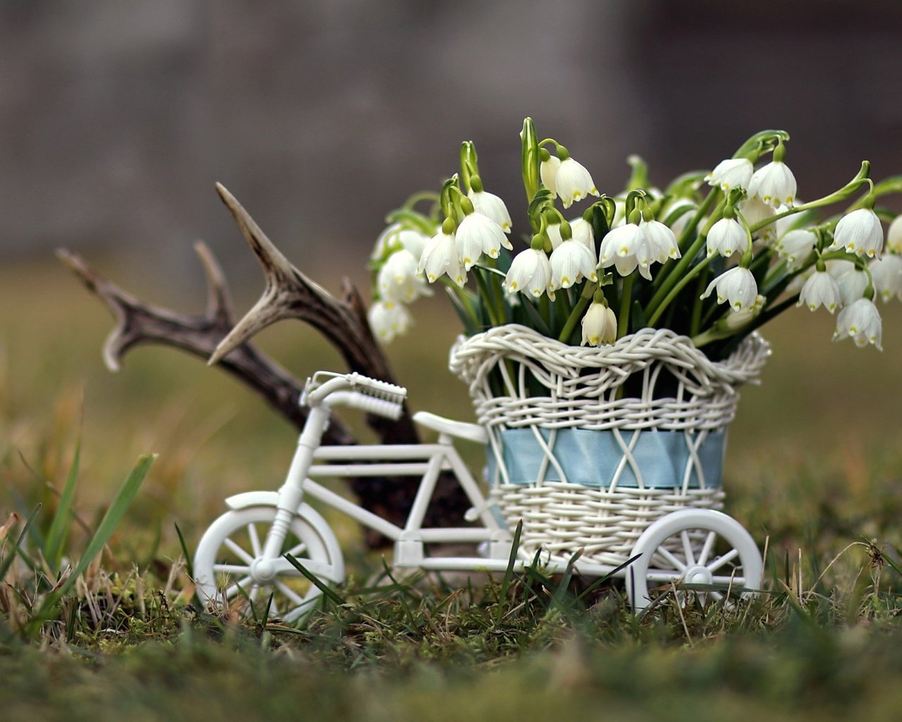Обои цветы, весна, корзина, ваза, подснежники, первоцвет, белоцветник, flowers, spring, basket, vase, snowdrops, primrose, snowflake разрешение 1920x1279 Загрузить