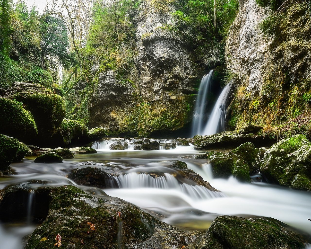 Обои деревья, вода, камни, водопад, мох, потоки, trees, water, stones, waterfall, moss, threads разрешение 2048x1152 Загрузить