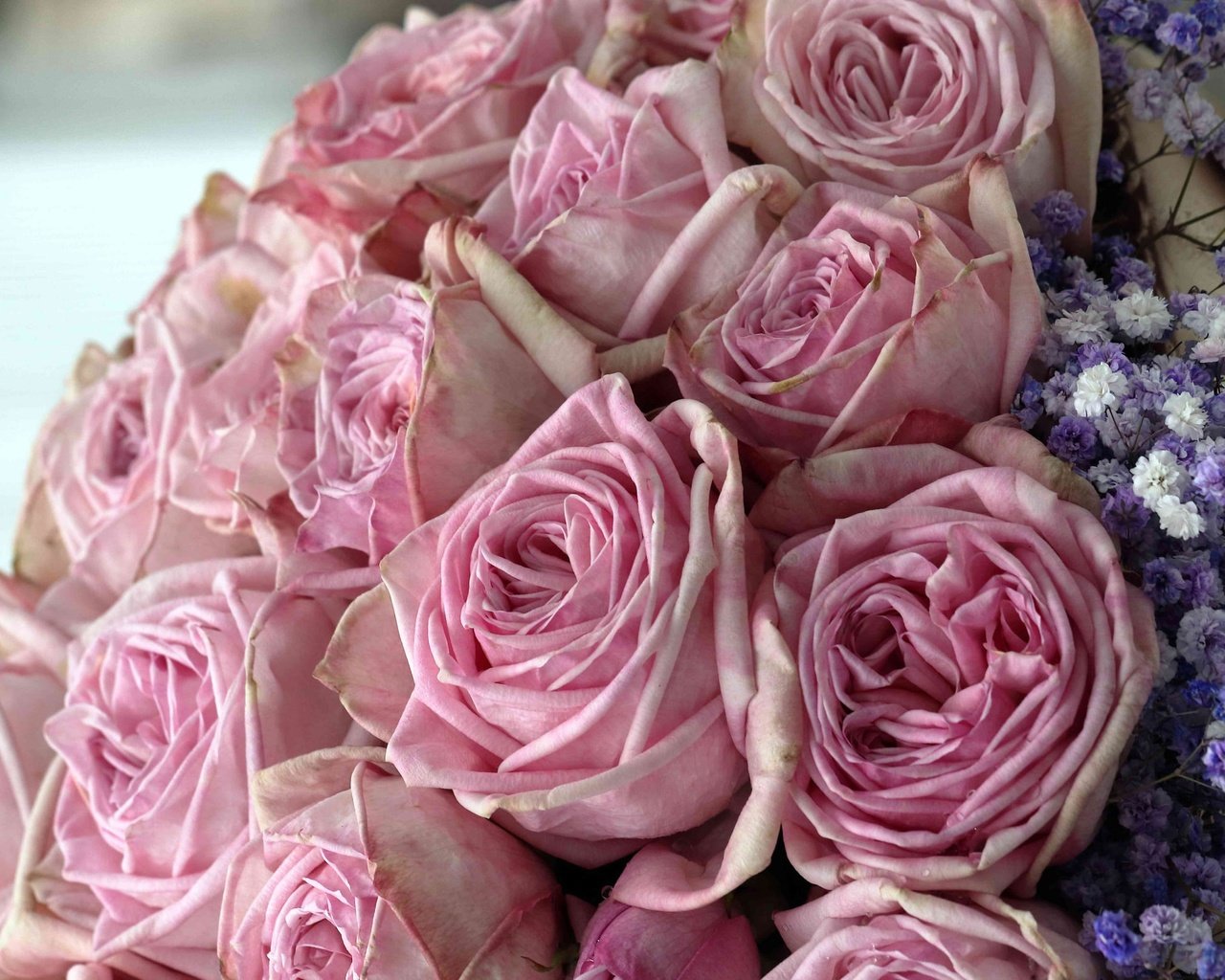 Обои цветы, бутоны, розы, букет, розовые, flowers, buds, roses, bouquet, pink разрешение 2048x1610 Загрузить